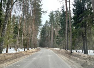 Земельный участок на продажу, 32 сот., деревня Соболиха