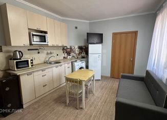 Продажа 1-ком. квартиры, 28 м2, Ростов-на-Дону, улица Варфоломеева, 187