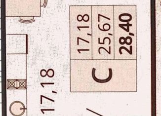 Квартира на продажу студия, 28.4 м2, посёлок Знаменский, Природная улица, 10Бк6