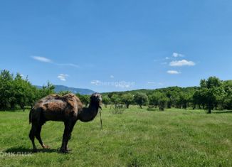 Земельный участок на продажу, 550 сот., село Нижняя Голубинка, Заречная улица