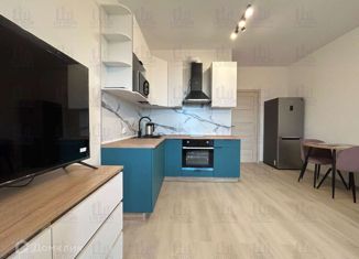 Сдам в аренду квартиру студию, 27 м2, Санкт-Петербург, Манчестерская улица, 3к2, метро Удельная