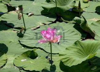 Продажа дома, 100 м2, село Быковка, Центральная улица