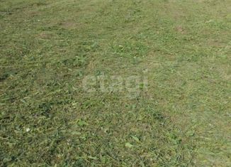 Земельный участок на продажу, 14 сот., деревня Совьяки, Центральная улица, 31