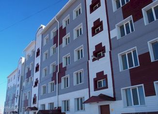 Продажа 1-ком. квартиры, 29 м2, поселок городского типа Николаевка, Строительная улица, 24