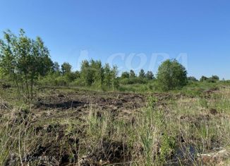 Земельный участок на продажу, 11 сот., деревня Коняшина