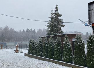 Дом на продажу, 200 м2, деревня Большие Борницы, 41А-002