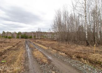 Земельный участок на продажу, 8 сот., садоводческое некоммерческое товарищество Берёзка