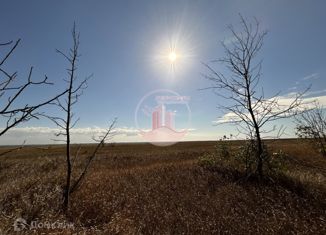 Продам участок, 2251.16 сот., село Найденовка, Шоссейная улица