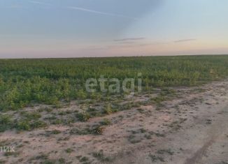 Продаю земельный участок, 8.93 сот., СНОГ Бриз-2, Лесная улица