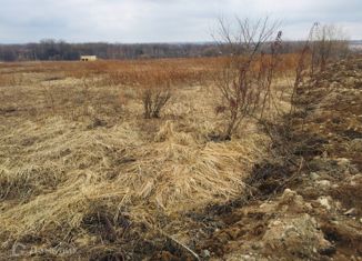 Земельный участок на продажу, 15 сот., село Краснореченское, Центральная улица