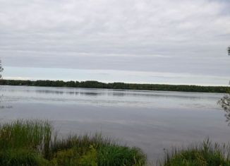 Продаю дом, 40 м2, деревня Асташево, Приволжская улица, 2