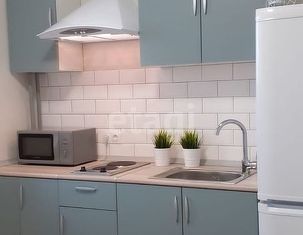 Сдаю в аренду однокомнатную квартиру, 32 м2, Воронеж, улица Корольковой, 20, ЖК Пароход