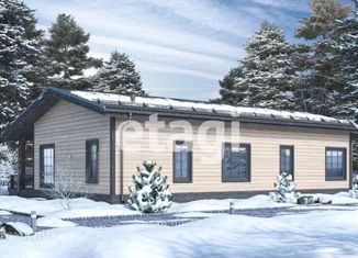 Продается дом, 120 м2, деревня Лепсари, 41К-202