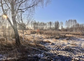 Земельный участок на продажу, 4 сот., садовое товарищество Сотовик