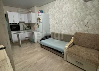 Продажа 1-комнатной квартиры, 22.8 м2, село Михайловка, Новоуфимская улица, 15