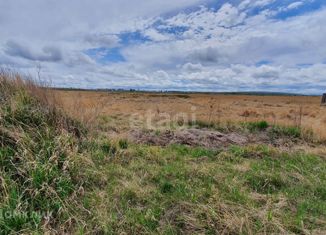 Продажа земельного участка, 12 сот., село Синеглазово