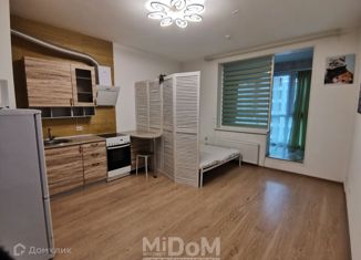 Сдается в аренду квартира студия, 24.3 м2, деревня Кудрово, Столичная улица, 4к4