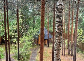 Продам дом, 67 м2, садовое товарищество Юркино, Дачный проспект