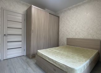 Сдаю в аренду 2-ком. квартиру, 35 м2, Пенза, улица Шмидта, 24, Октябрьский район