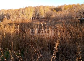 Участок на продажу, 25.51 сот., село Улыбино, улица Братьев Весниных, 6А