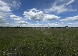 Земельный участок на продажу, 12 сот., посёлок Чекаевский