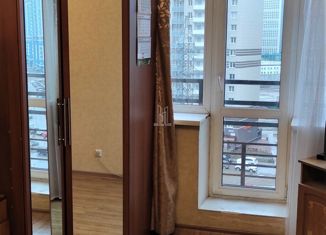 Сдам однокомнатную квартиру, 38.5 м2, Санкт-Петербург, улица Михаила Дудина, 25к1, улица Михаила Дудина