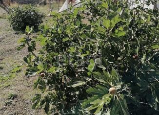 Продажа участка, 5.27 сот., село Угловое, Аграрная улица