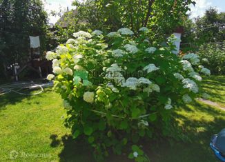 Дом на продажу, 30 м2, село Шумейка, Центральная улица