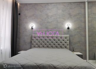 Сдача в аренду однокомнатной квартиры, 35 м2, Ставрополь, улица Генерала Маргелова, 3/1