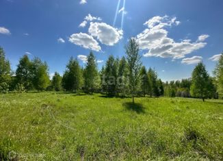 Продам земельный участок, 20 сот., Новосибирская область