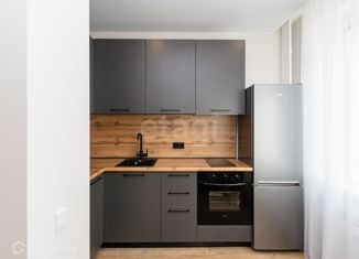 Продажа квартиры студии, 28.3 м2, деревня Патрушева, улица Петра Ершова, 14, ЖК Никольский