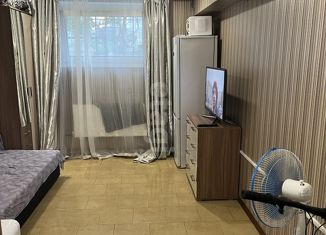 Продается квартира студия, 20 м2, Анапа, улица Ленина, 196, ЖК Горгиппия Морская