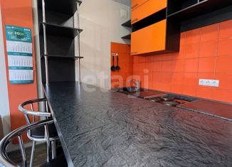 Сдаю в аренду квартиру студию, 23 м2, Бердск, Черемушная улица, 51