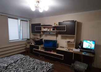 Продажа 2-ком. квартиры, 45 м2, село Ближнее, Парковая улица, 4