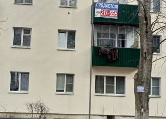 2-ком. квартира на продажу, 44.7 м2, село Чемодановка, Фабричная улица, 1