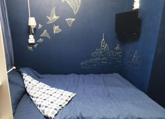 Квартира в аренду студия, 17 м2, Санкт-Петербург, Гражданская улица, 7, Гражданская улица