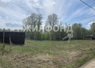 Продаю земельный участок, 12 сот., село Новокаменка