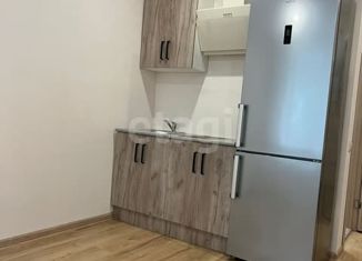 Продается квартира студия, 19 м2, Казань, улица Белинского, 39, Авиастроительный район