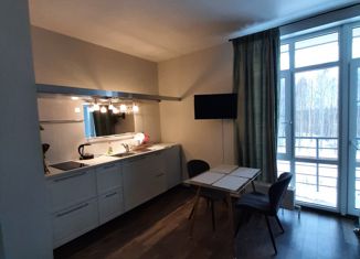 Аренда квартиры студии, 30.4 м2, Санкт-Петербург, Новая улица, 51к7, ЖК Лахта парк