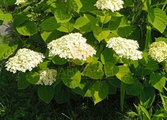 Участок на продажу, 8 сот., СНТ Вишенка