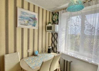 1-комнатная квартира в аренду, 30.2 м2, село Витино, Степная улица, 1