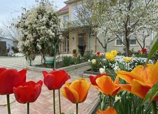 Продаю дом, 246 м2, село Супсех