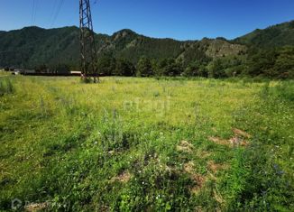 Продаю участок, 10 сот., село Чемал, Советская улица