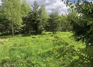 Земельный участок на продажу, 13 сот., деревня Никулино