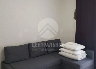 Продажа квартиры студии, 24 м2, Новосибирск, улица Заслонова, 13/4, ЖК Свобода