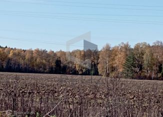 Продам участок, 15 сот., деревня Большие Семёнычи