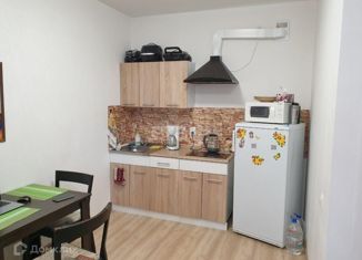 Продажа квартиры студии, 25.2 м2, Екатеринбург, улица Академика Парина, 38/5, улица Академика Парина