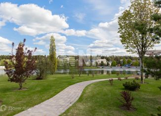 Земельный участок на продажу, 19.9 сот., деревня Чесноково