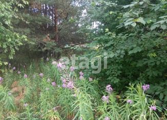 Продается участок, 19 сот., деревня Бор