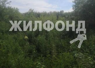 Продаю участок, 6 сот., деревня Казанка